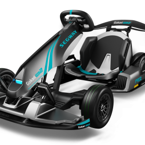 Segway Go Kart Pro 2